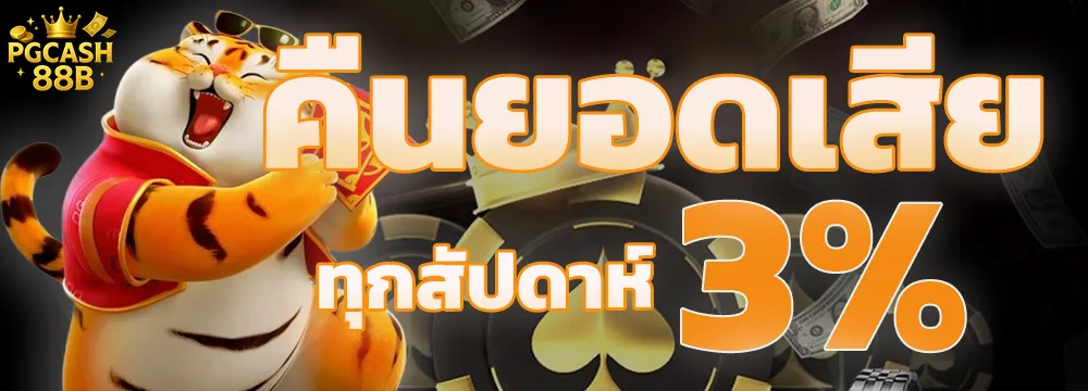 Pgcash88b-pro4